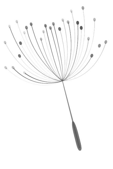 Cuidado de equipos - Raúl Lizana